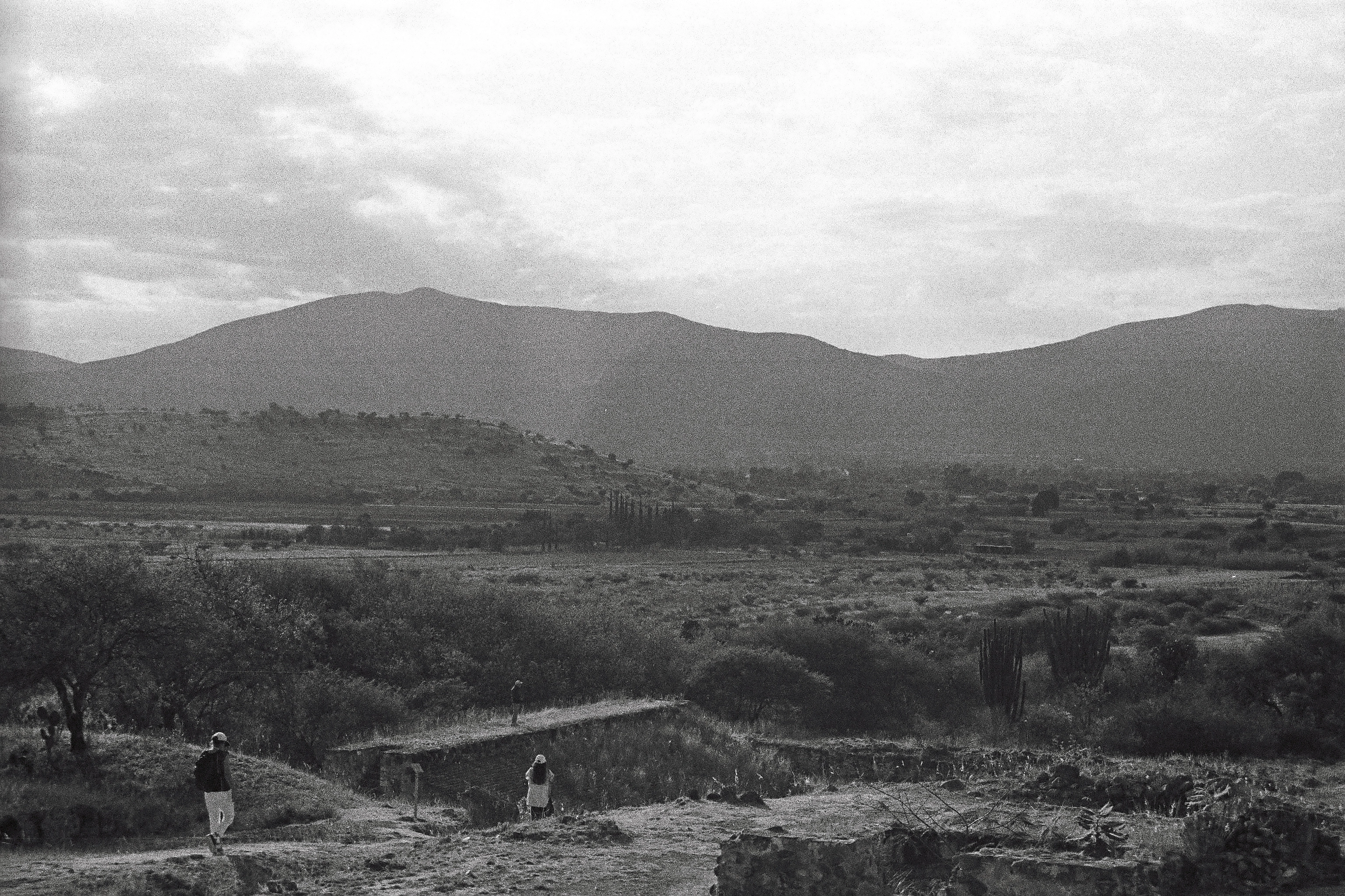 Zona Arqueológica Dainzú (2025)